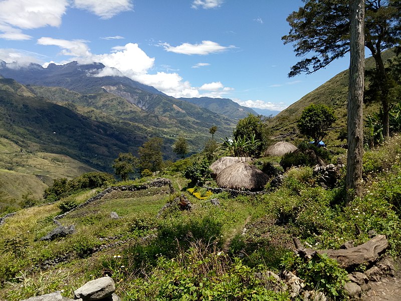 http://commons-wikimedia-org-s.njmu.s5.bt8.net/wiki/File:20170903_Papouasie_Baliem_valley_14.jpg
